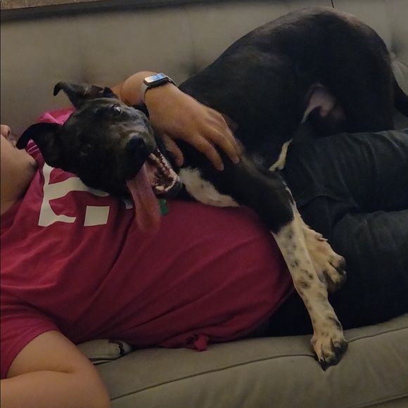 Meet your Posher, Angela - Picture 6 of 6